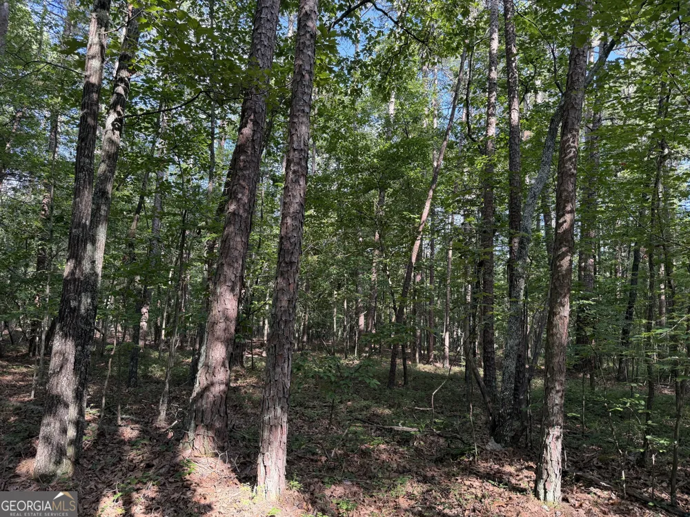 0 Clear Lake DR Adairsville, GA 30103