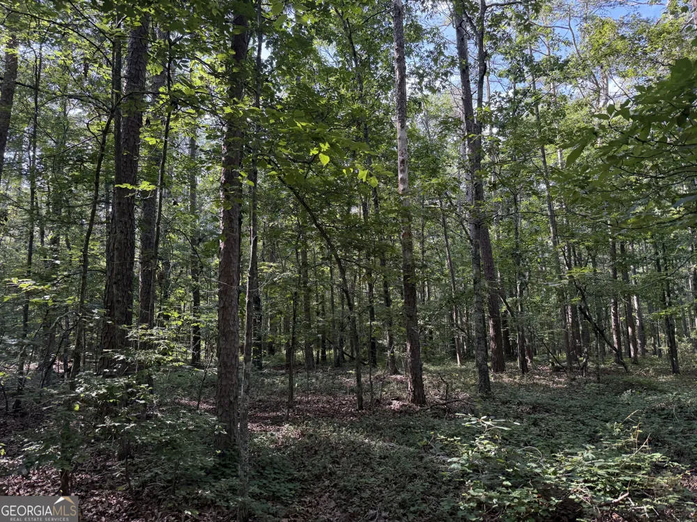 0 Clear Lake DR Adairsville, GA 30103