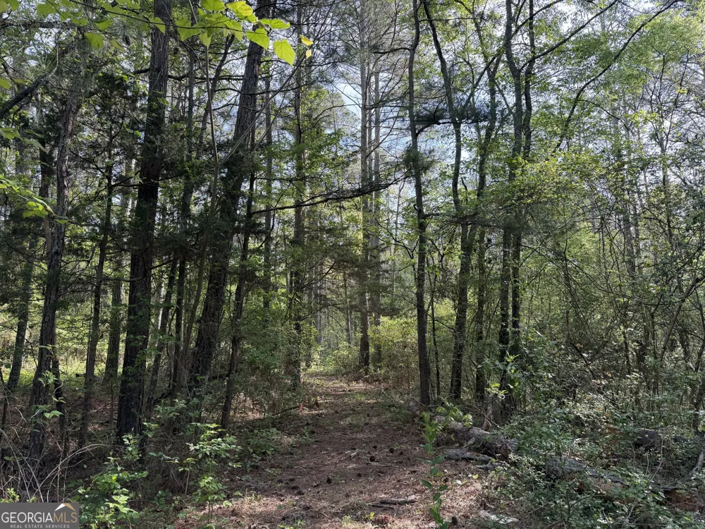 0 Clear Lake DR Adairsville, GA 30103
