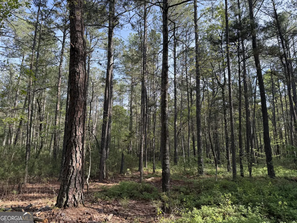 0 Clear Lake DR Adairsville, GA 30103
