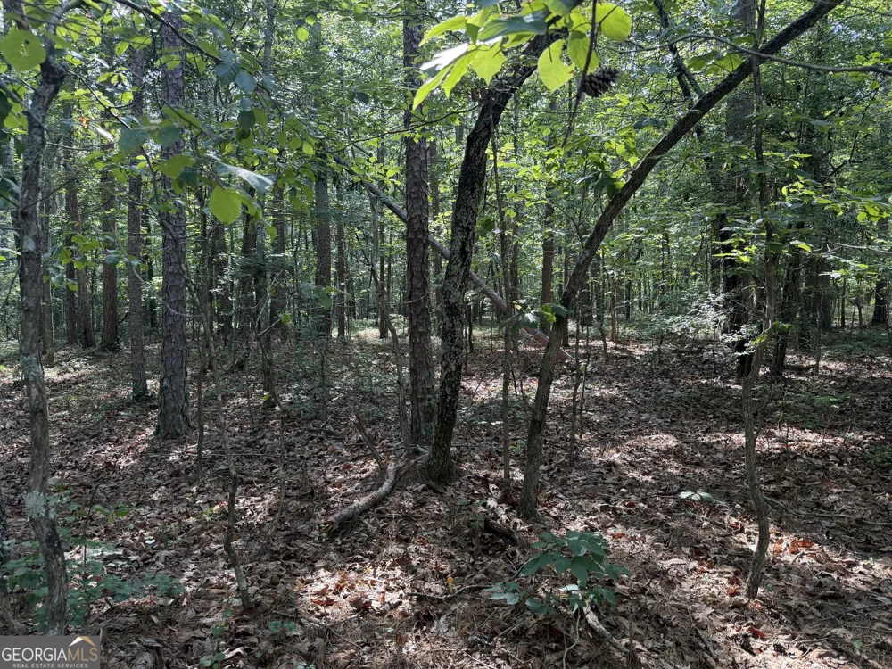 0 Clear Lake DR Adairsville, GA 30103
