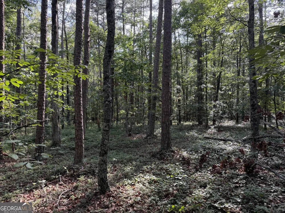 0 Clear Lake DR Adairsville, GA 30103