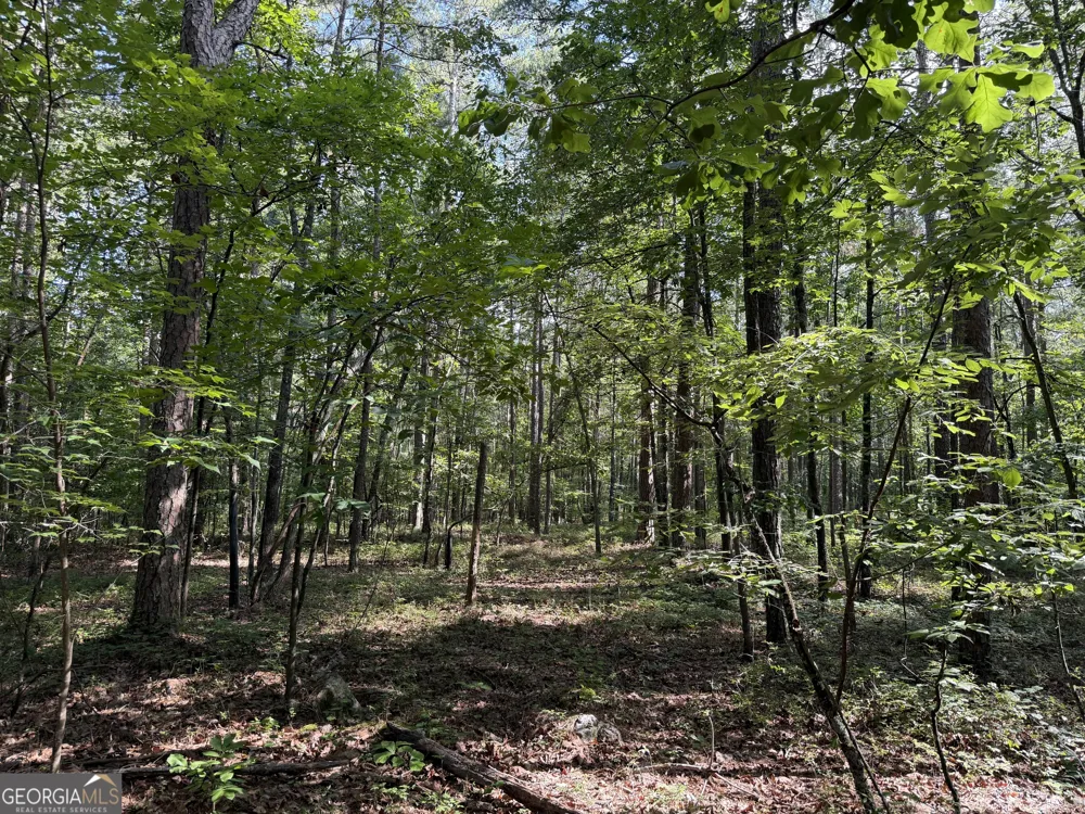 0 Clear Lake DR Adairsville, GA 30103