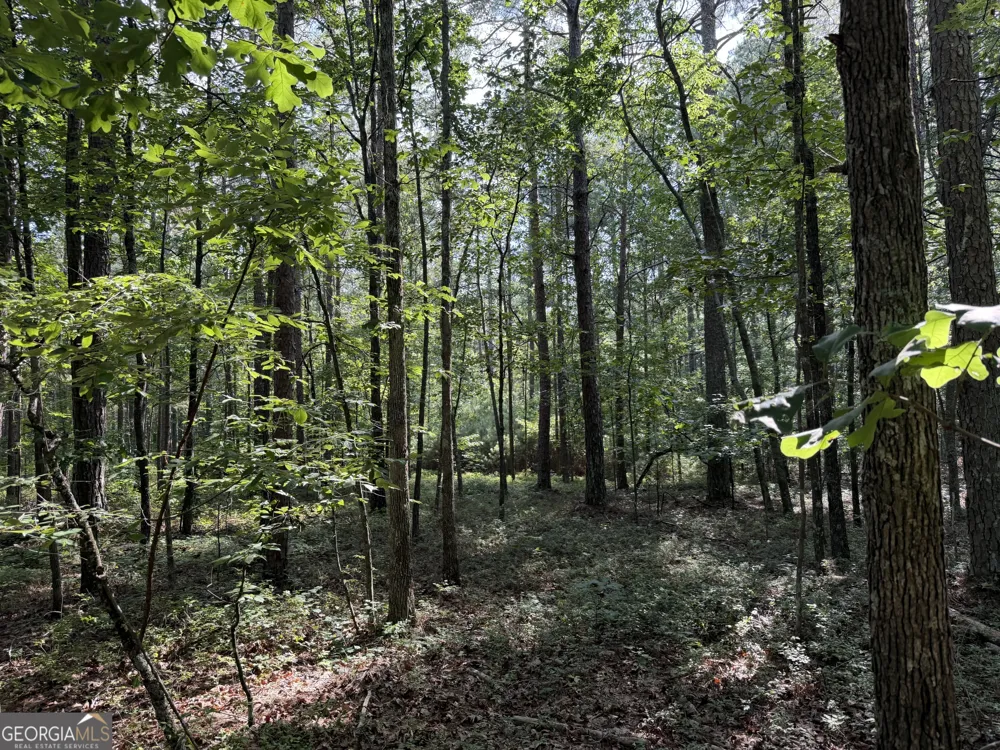 0 Clear Lake DR Adairsville, GA 30103