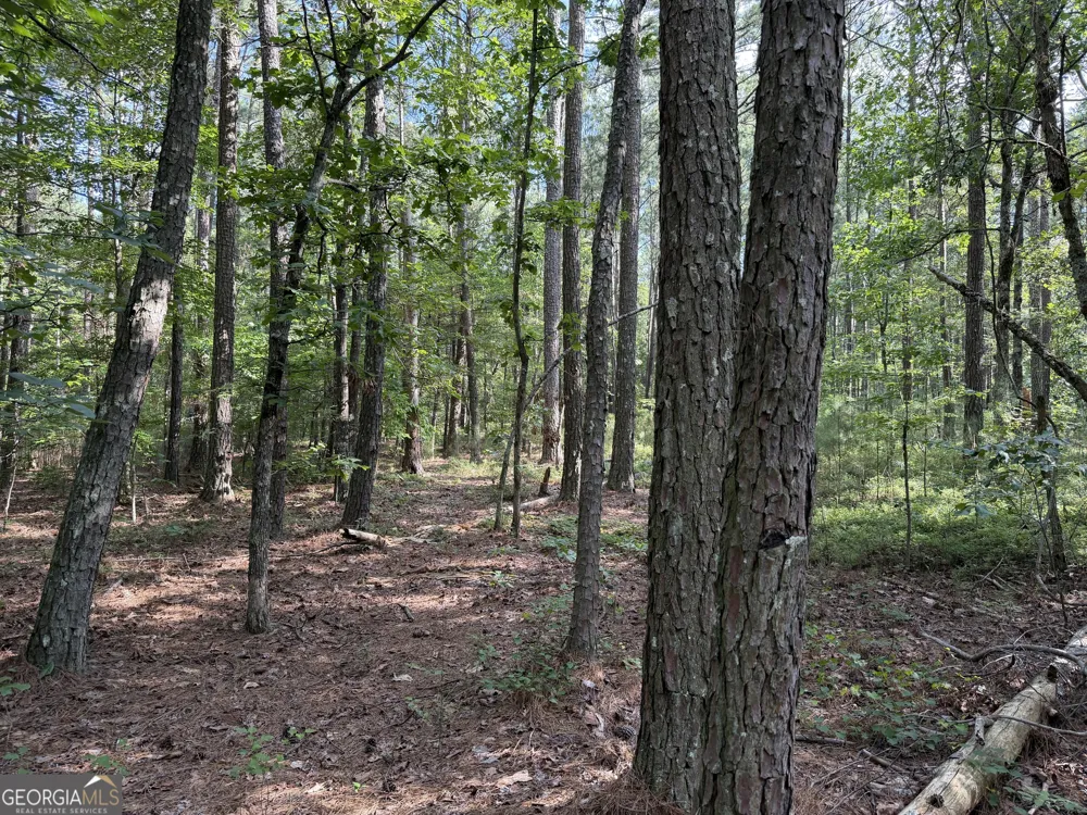 0 Clear Lake DR Adairsville, GA 30103
