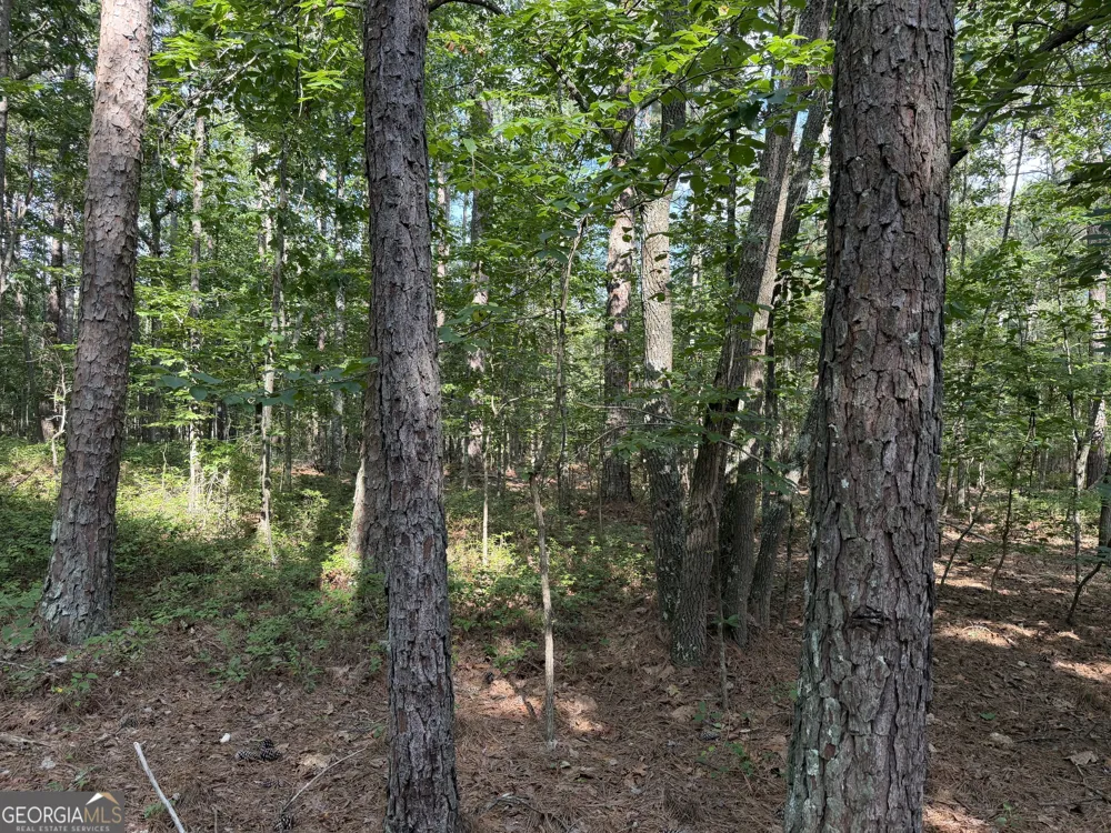 0 Clear Lake DR Adairsville, GA 30103