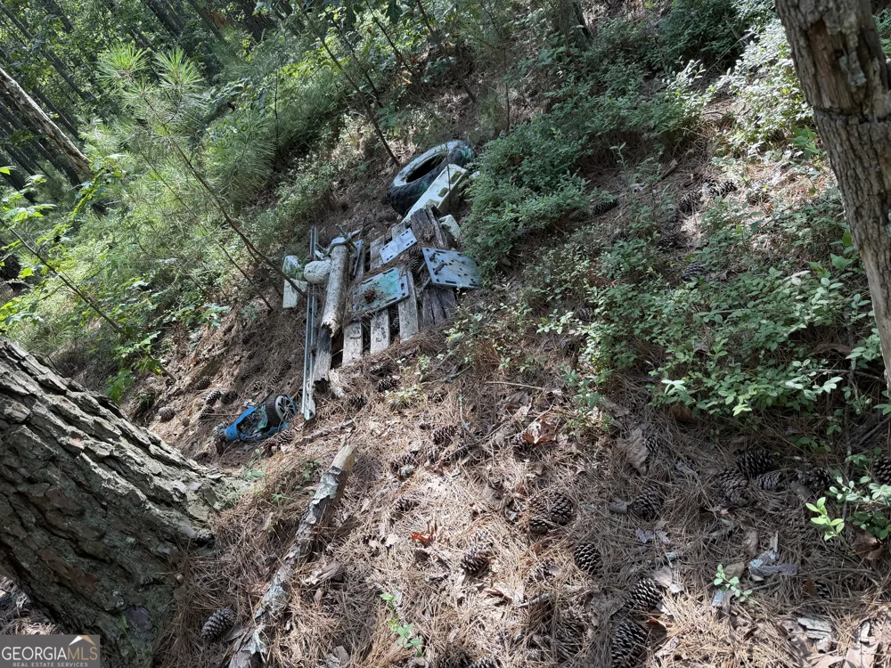 0 Clear Lake DR Adairsville, GA 30103