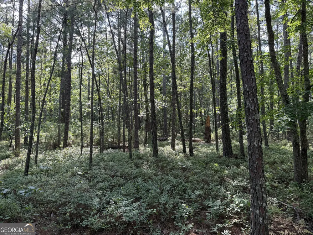 0 Clear Lake DR Adairsville, GA 30103