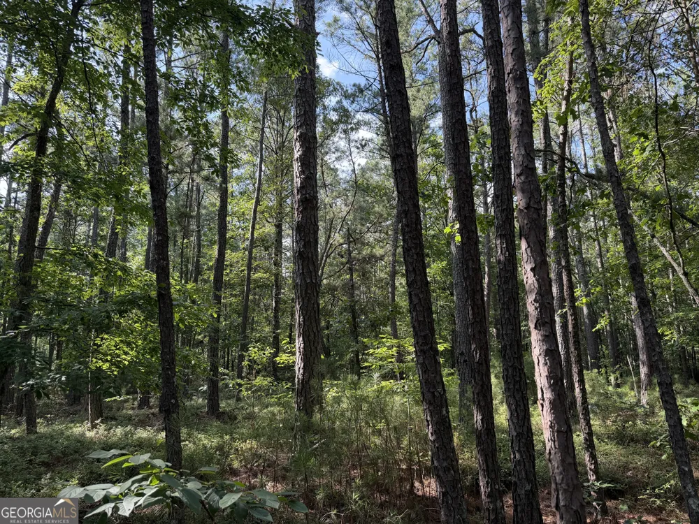 0 Clear Lake DR Adairsville, GA 30103