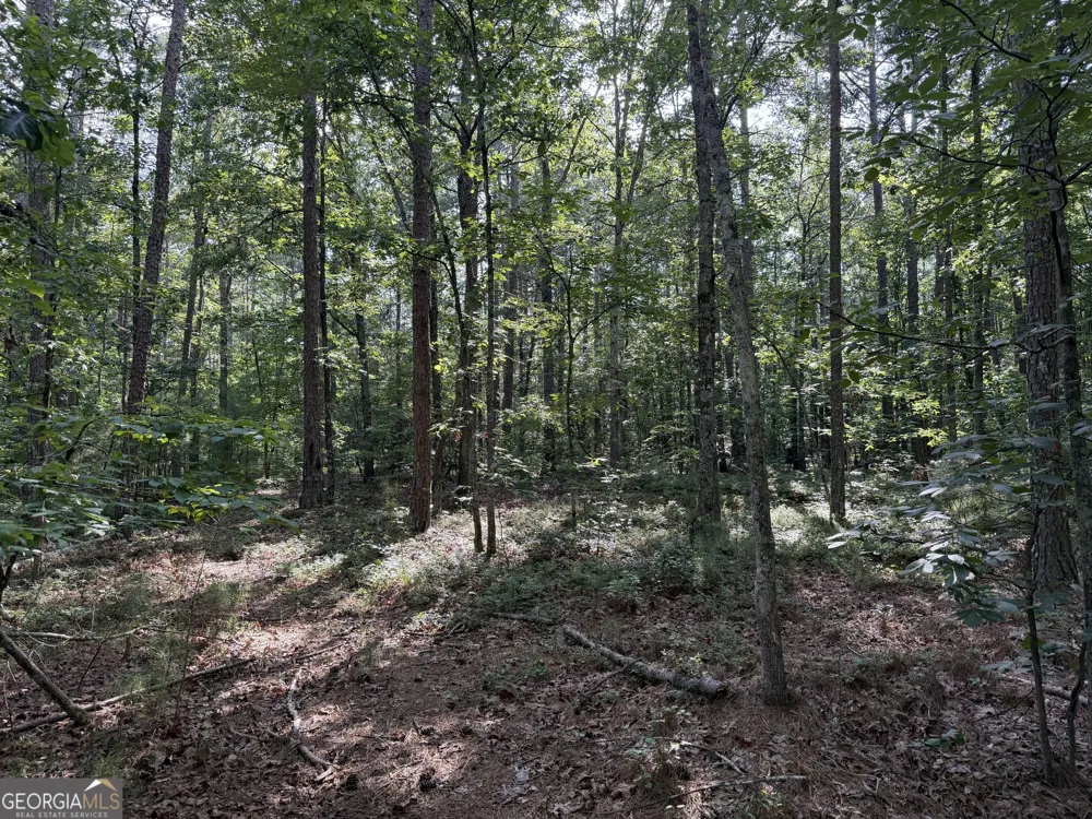 0 Clear Lake DR Adairsville, GA 30103