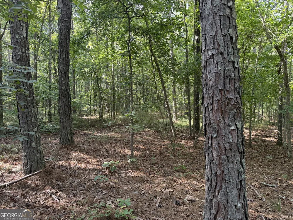 0 Clear Lake DR Adairsville, GA 30103