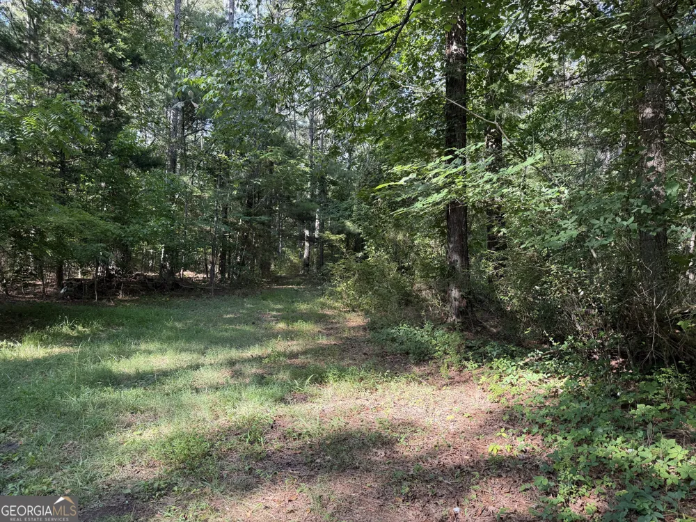 0 Clear Lake DR Adairsville, GA 30103