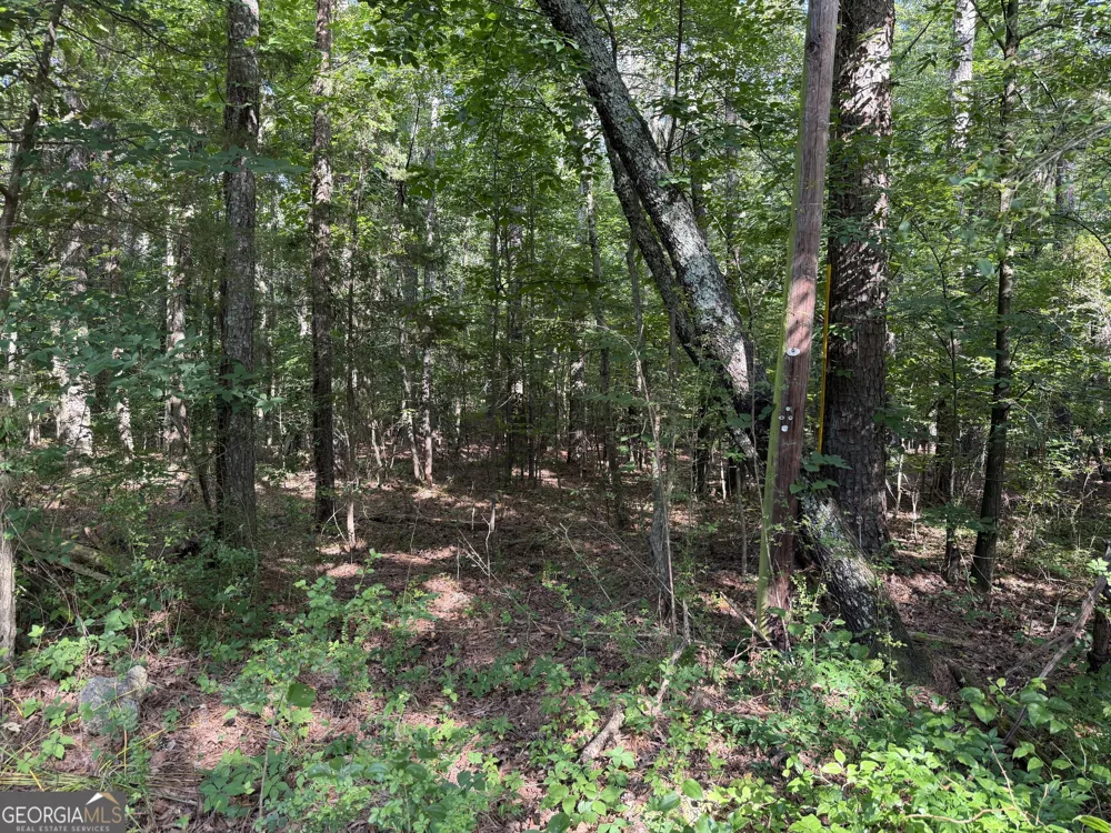 0 Clear Lake DR Adairsville, GA 30103