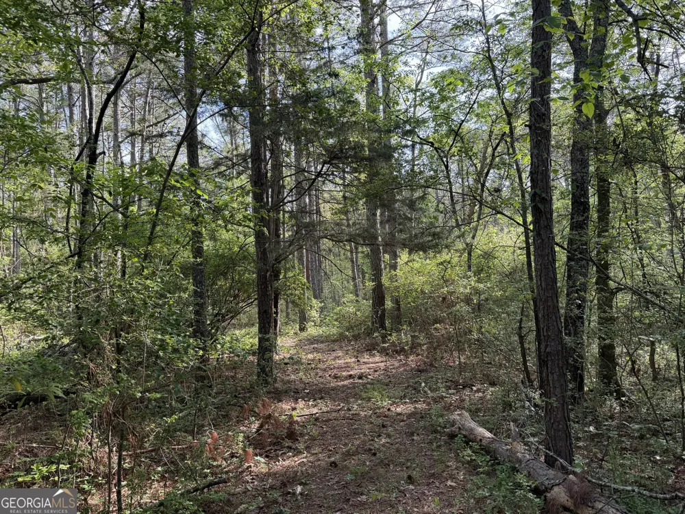0 Clear Lake DR Adairsville, GA 30103