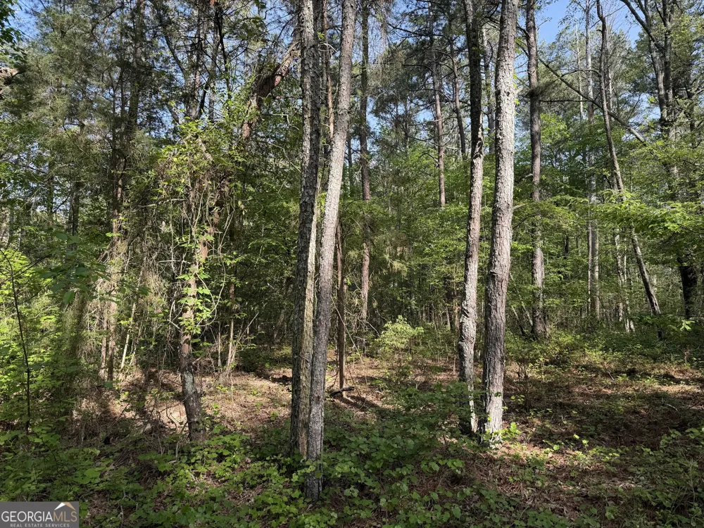 0 Clear Lake DR Adairsville, GA 30103