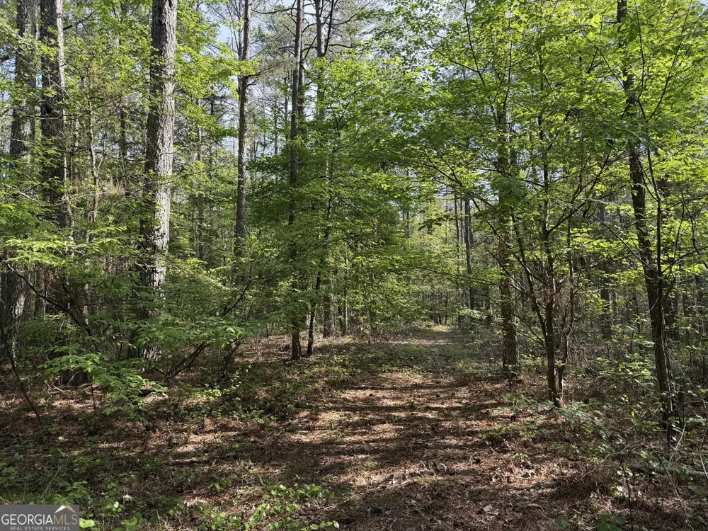 0 Clear Lake DR Adairsville, GA 30103