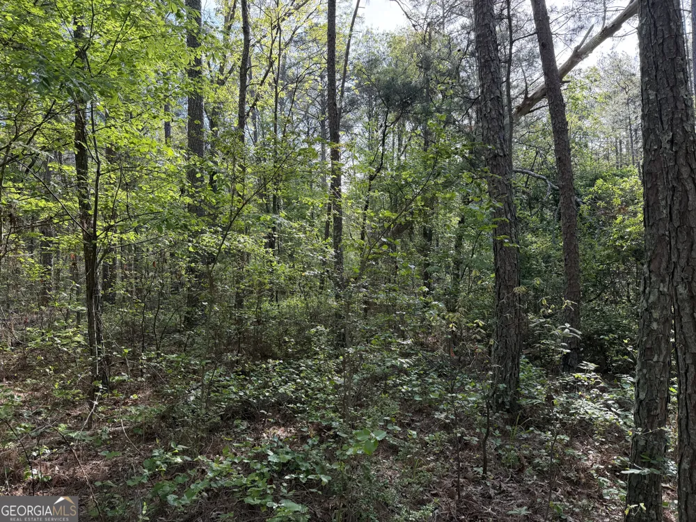 0 Clear Lake DR Adairsville, GA 30103