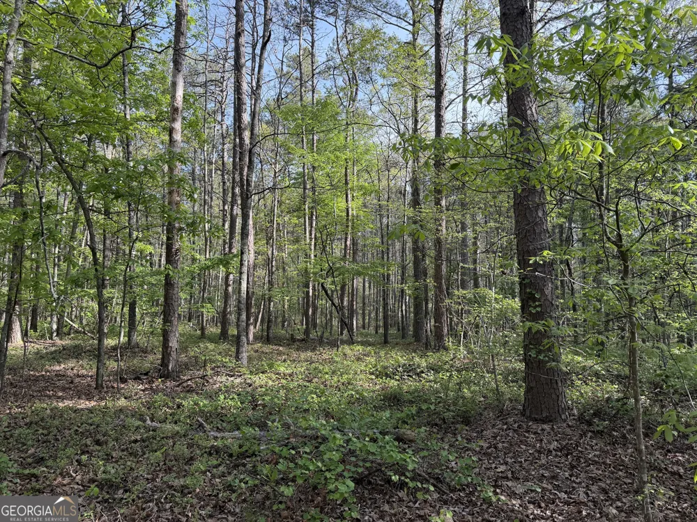 0 Clear Lake DR Adairsville, GA 30103