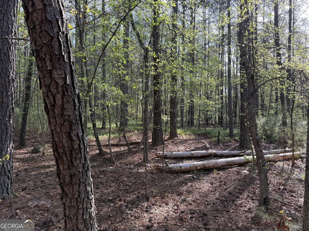 0 Clear Lake DR Adairsville, GA 30103