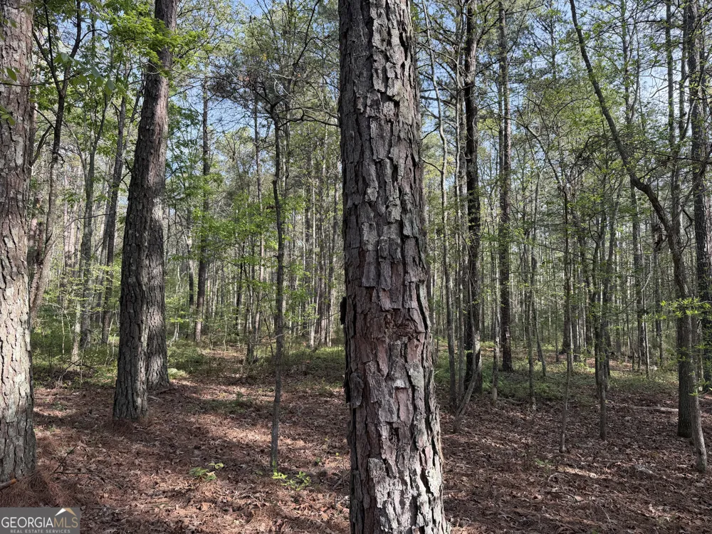 0 Clear Lake DR Adairsville, GA 30103