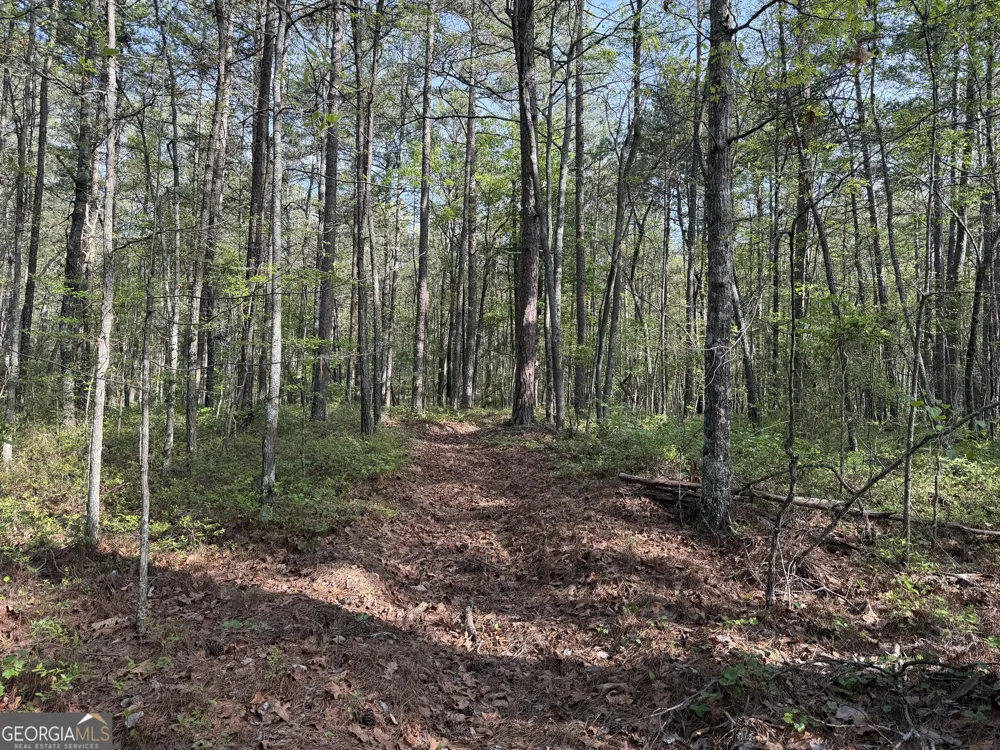 0 Clear Lake DR Adairsville, GA 30103