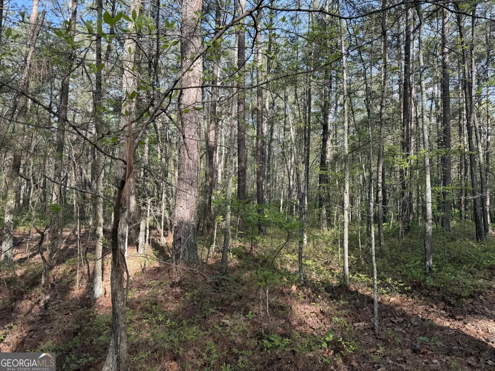 0 Clear Lake DR Adairsville, GA 30103