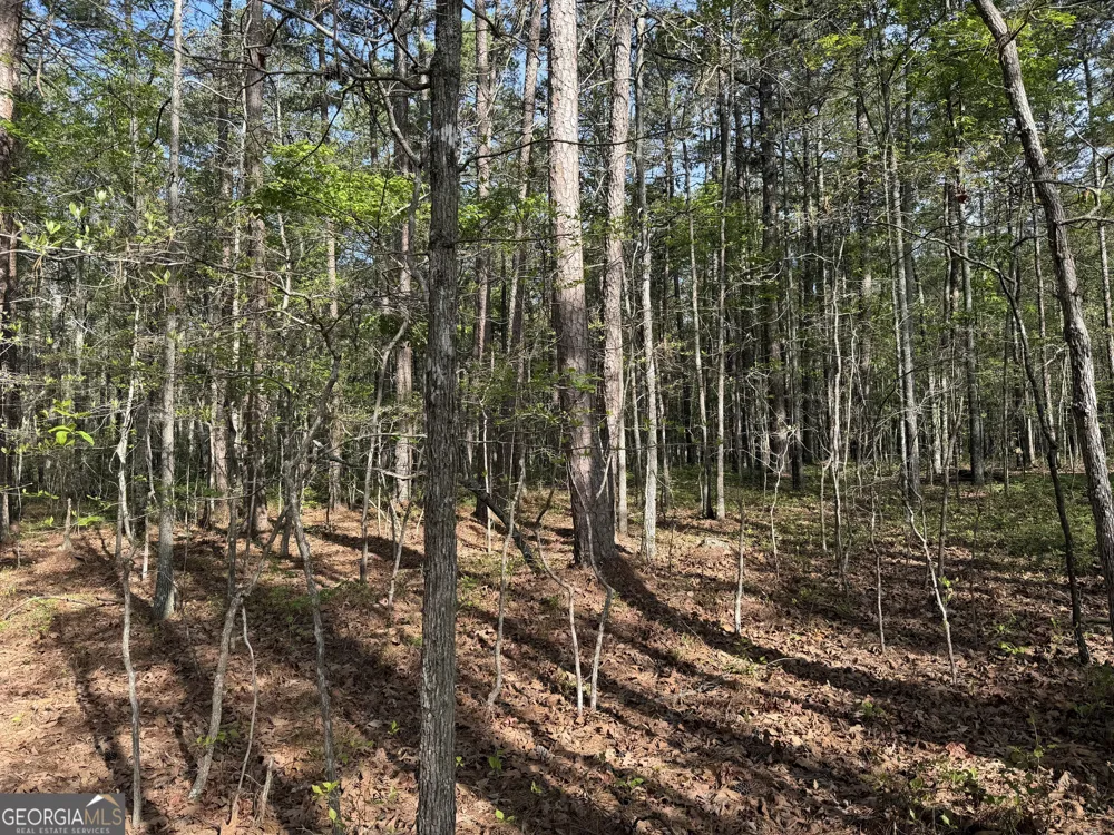 0 Clear Lake DR Adairsville, GA 30103