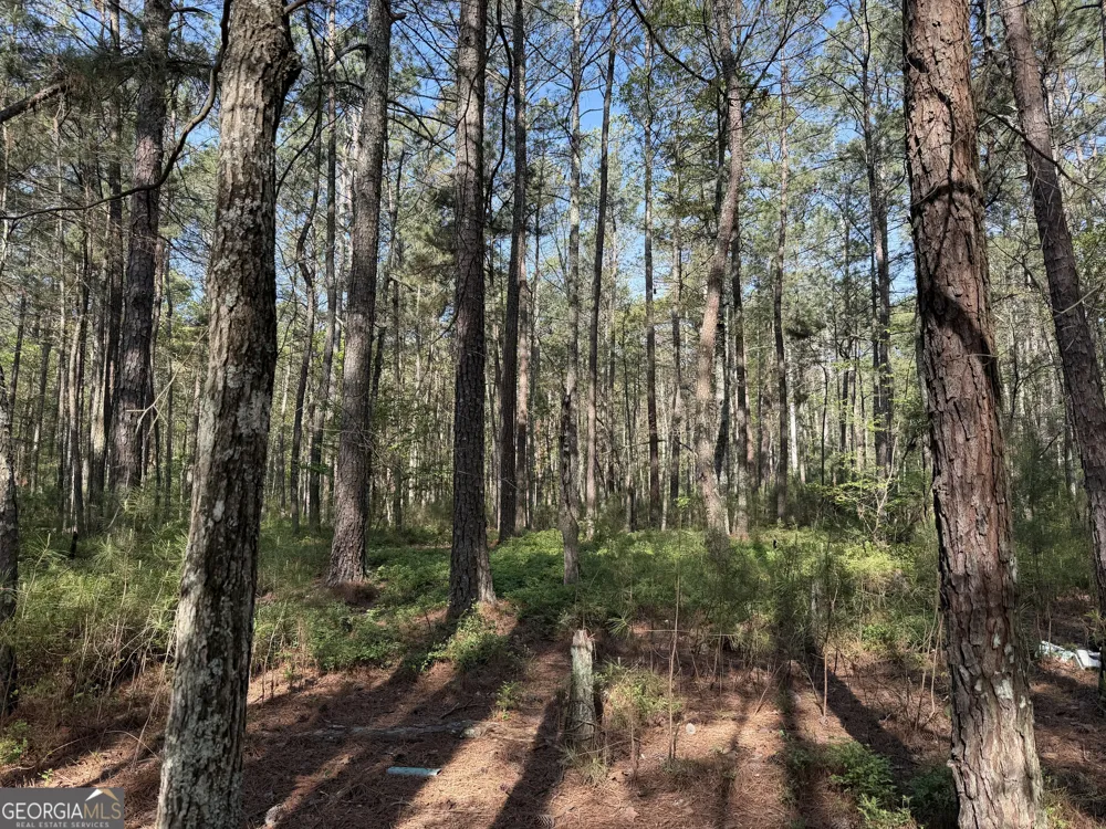 0 Clear Lake DR Adairsville, GA 30103