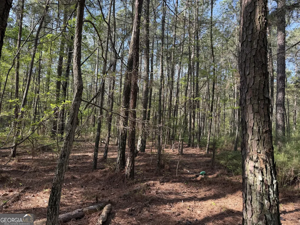 0 Clear Lake DR Adairsville, GA 30103