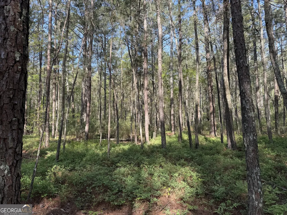 0 Clear Lake DR Adairsville, GA 30103