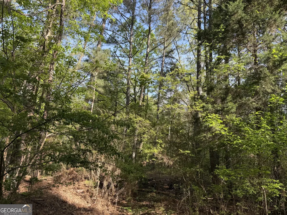 0 Clear Lake DR Adairsville, GA 30103