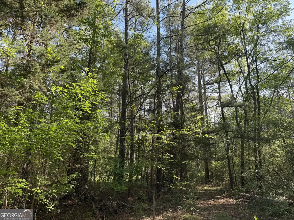 0 Clear Lake DR Adairsville, GA 30103