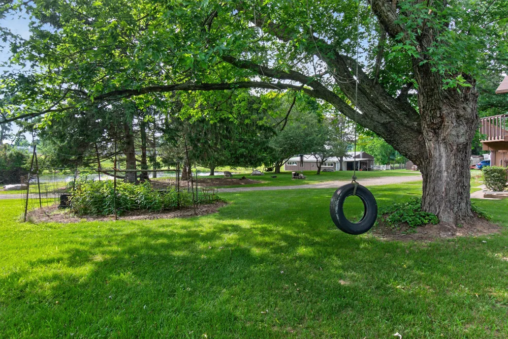 1611 S Williamston Road Dansville, MI 48819