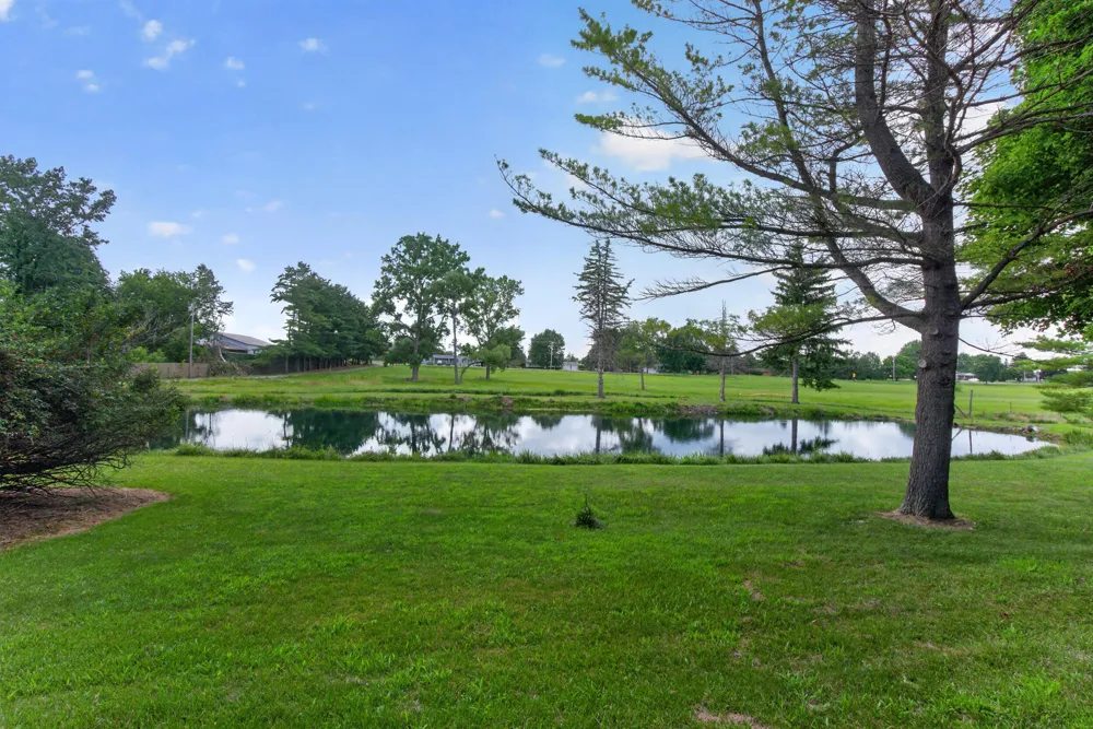 1611 S Williamston Road Dansville, MI 48819