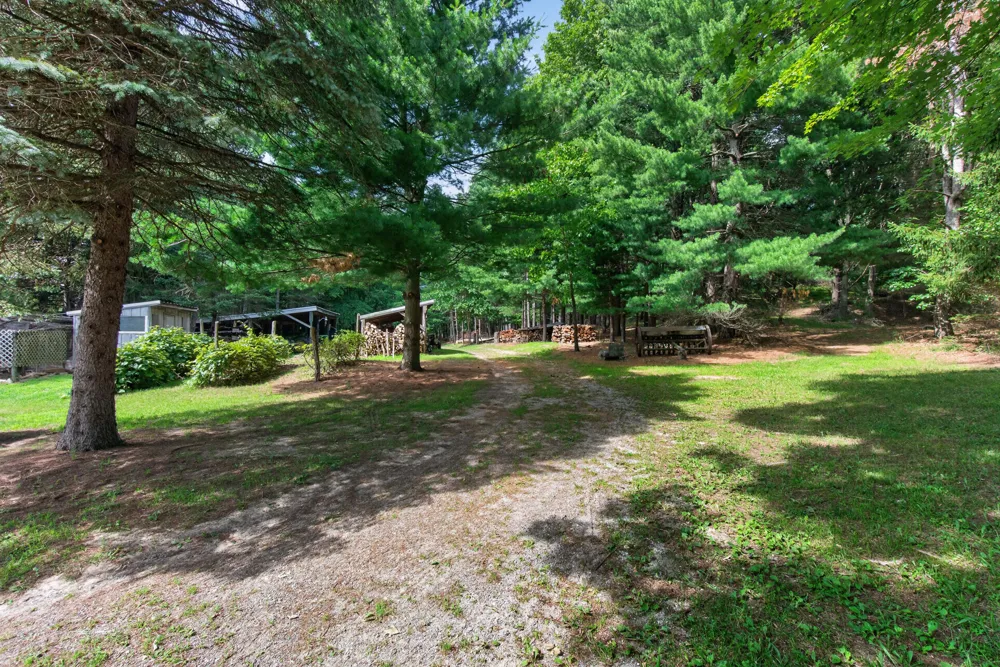1611 S Williamston Road Dansville, MI 48819
