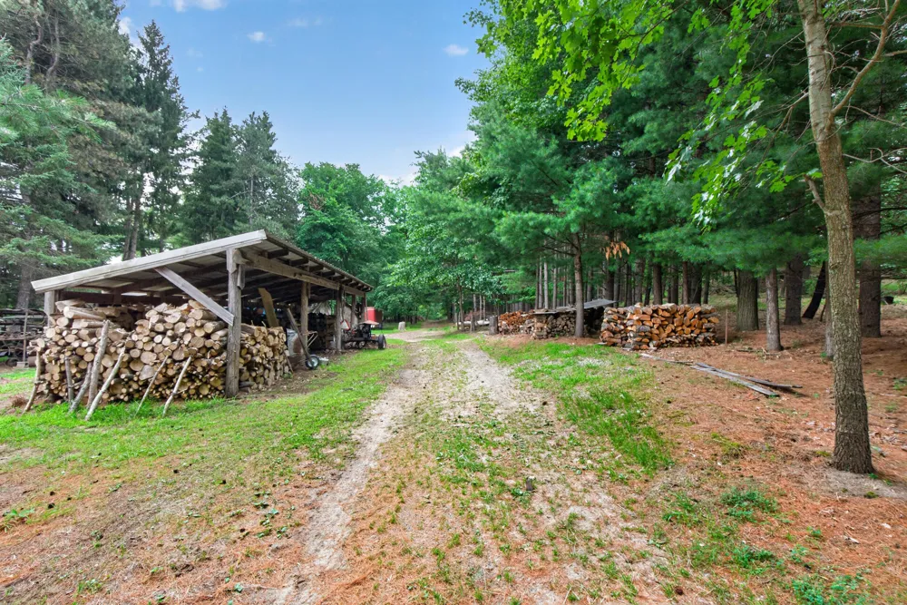 1611 S Williamston Road Dansville, MI 48819