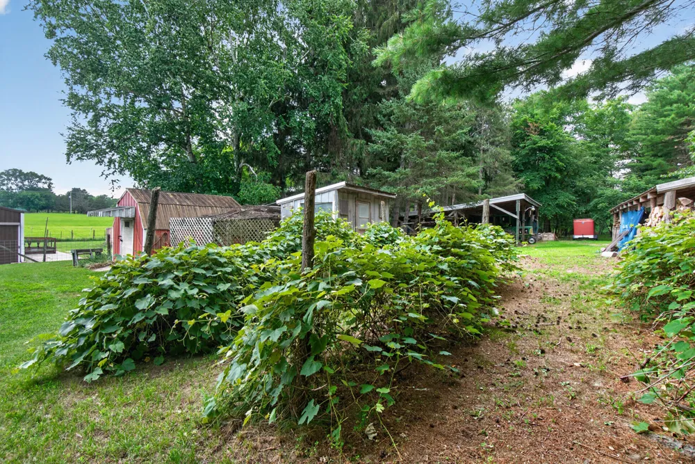 1611 S Williamston Road Dansville, MI 48819
