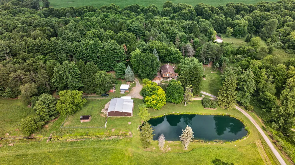 1611 S Williamston Road Dansville, MI 48819