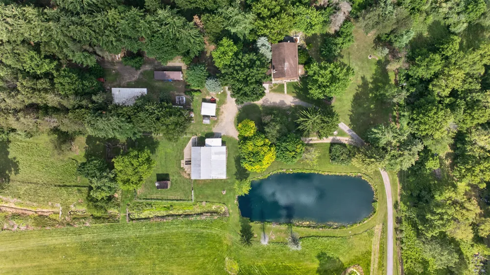 1611 S Williamston Road Dansville, MI 48819