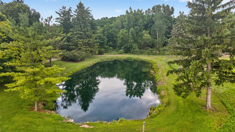 1611 S Williamston Road Dansville, MI 48819