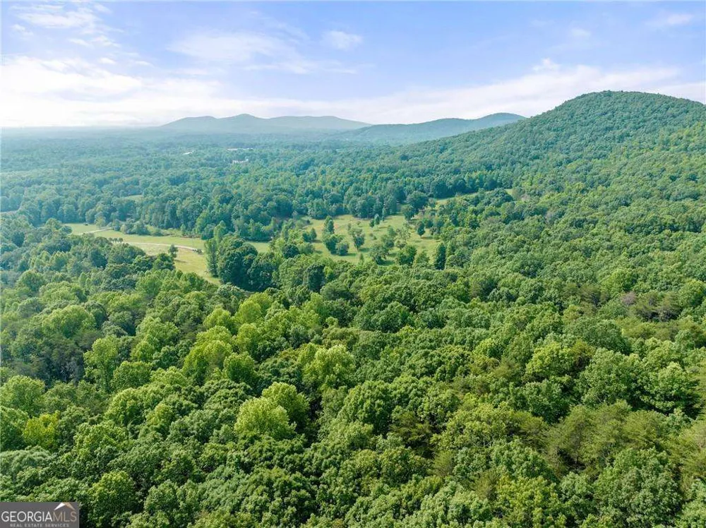 0 Freeman View TRL Cleveland, GA 30528