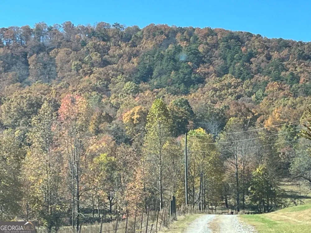 0 Freeman View TRL Cleveland, GA 30528