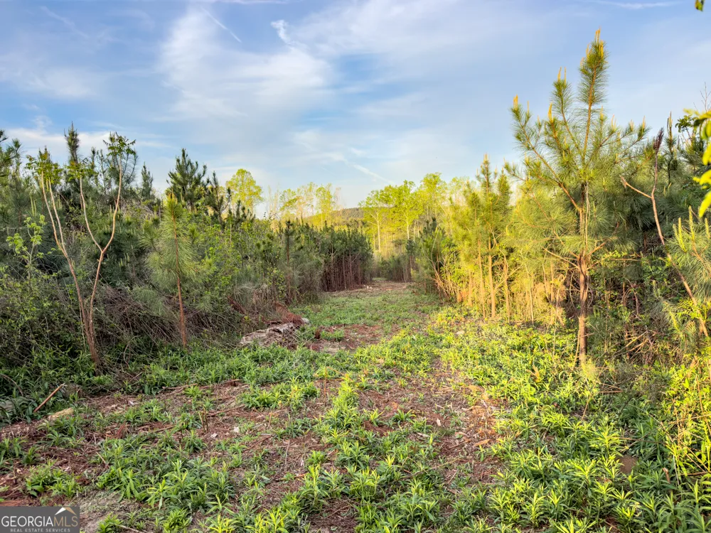 0 Bremen Mt Zion RD Waco, GA 30182