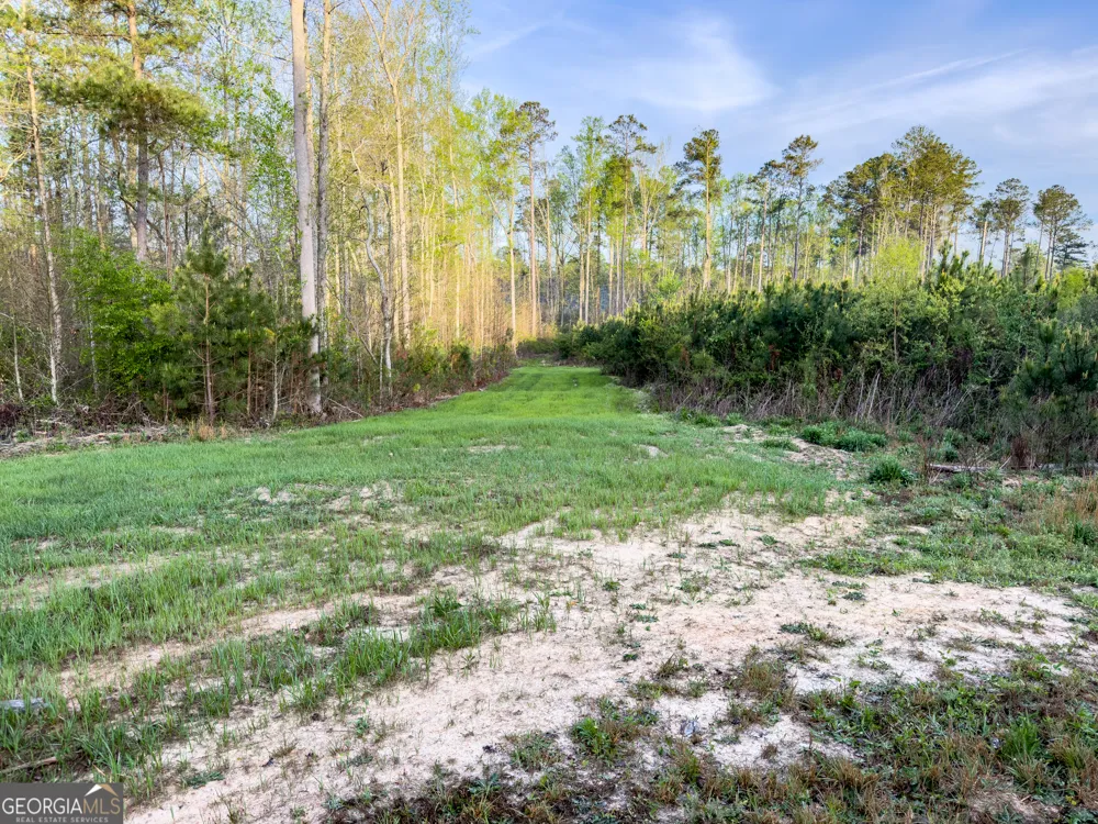 0 Bremen Mt Zion RD Waco, GA 30182