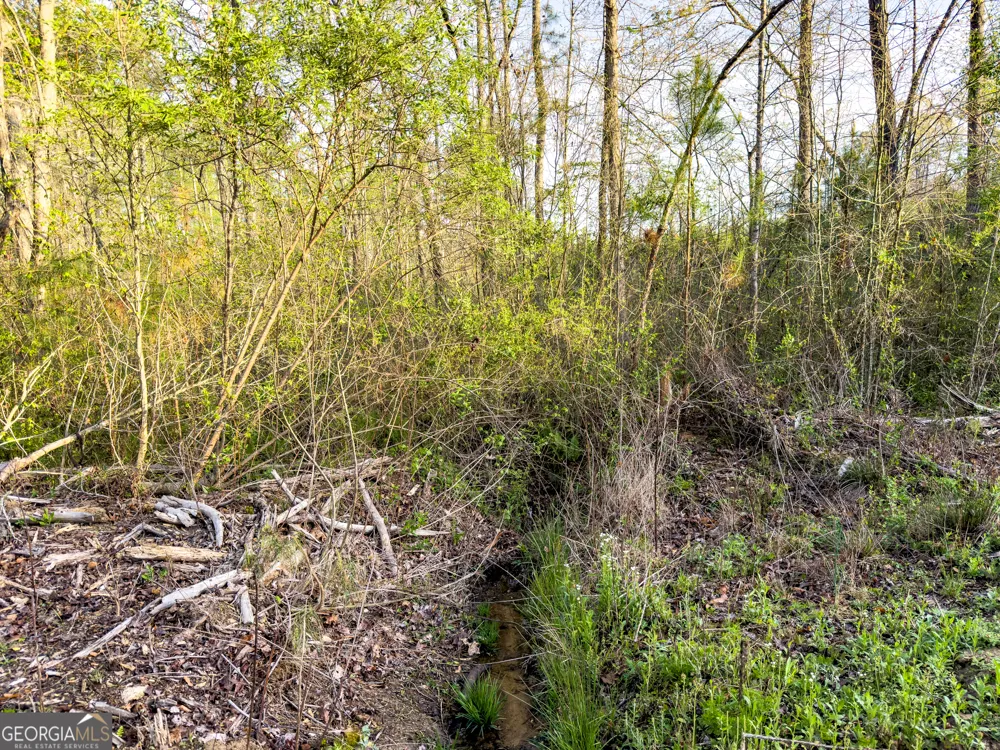 0 Bremen Mt Zion RD Waco, GA 30182