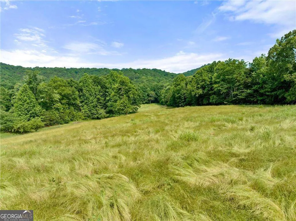 0 Freeman View TRL Cleveland, GA 30528