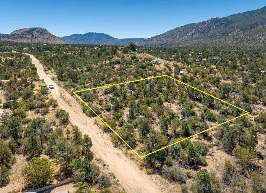 Buckthorn Mountain Center, CA 92561