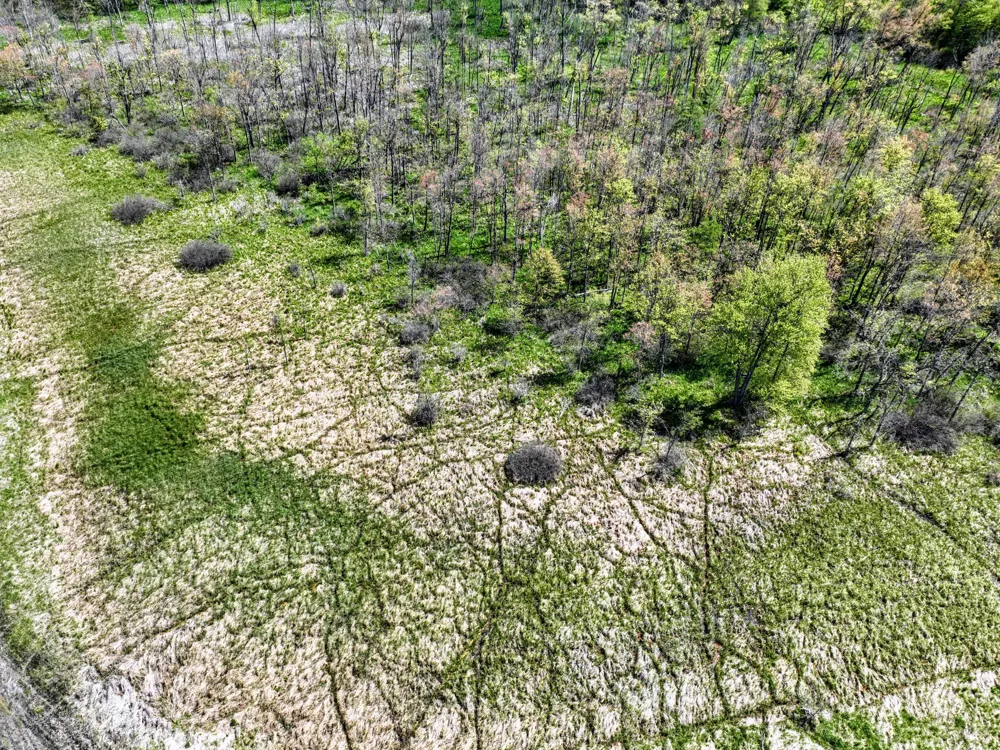 J DRIVE Marshall, MI 49068