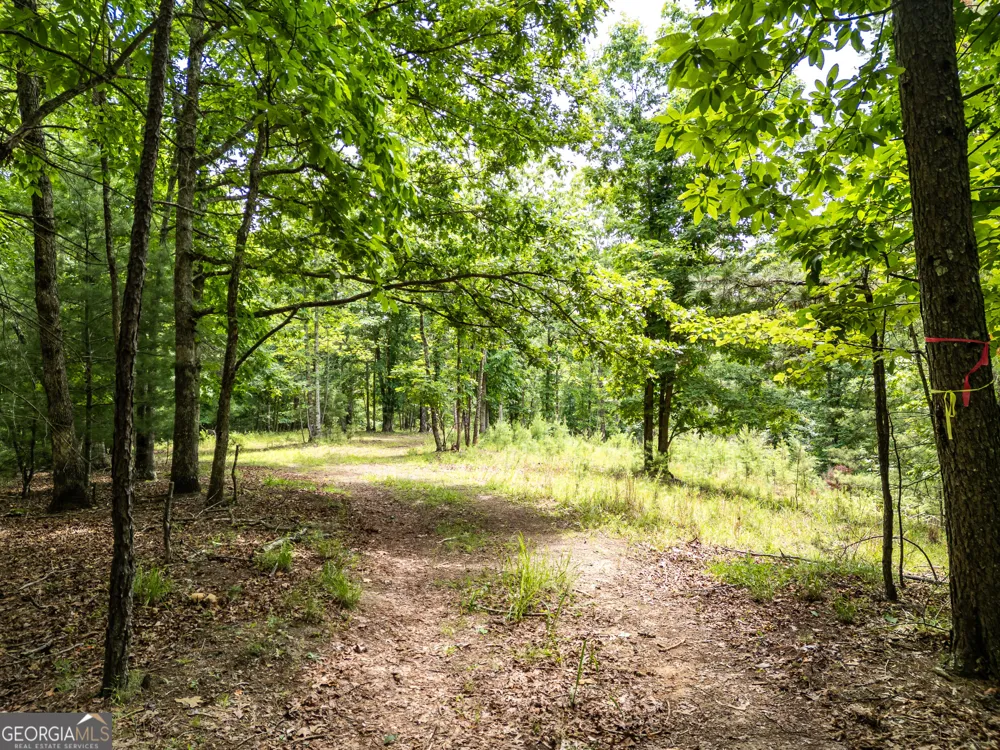 LT 1 Stormy Ridge Brasstown, NC 28902