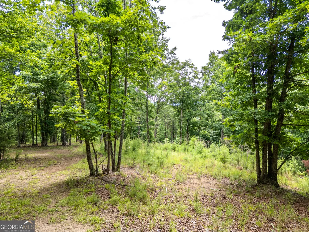 LT 1 Stormy Ridge Brasstown, NC 28902